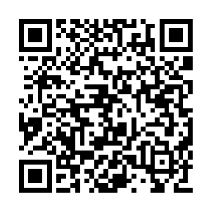 我就让律师代理去办离婚手续了……你不用紧张二维码生成