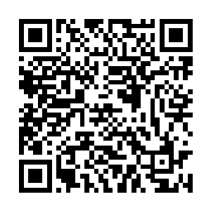 我就说不可能莫名其妙冒出个强横至此的开窍强者二维码生成