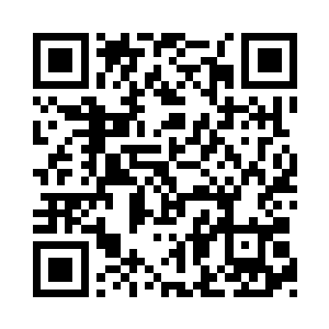 我就转增你东南航空公司的百分之二十股份二维码生成