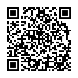 我居然忘记了久久回来啦~都怪长行你看书的时候太迷人了二维码生成