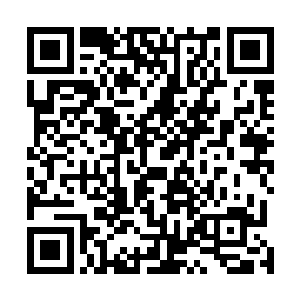 我已经不知道用什么言语来表达我内心对你的不舍之情了二维码生成