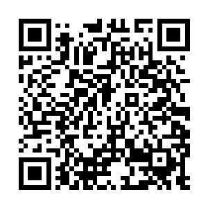 我已经检查过你的每一块骨头和你的每一寸血肉了二维码生成