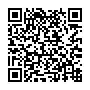 我已经派了十二个银牌杀手在不周神山设下了埋伏二维码生成