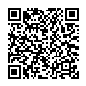 我已经猜到你身上可能会有蕴含着天位力量的保命之物二维码生成