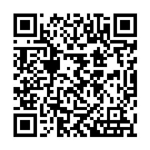 我已经豢养了一种可以克制甚至猎杀海兽的灵植二维码生成