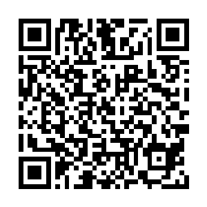 我希望你也能够早些开启血脉・将来为家族效力二维码生成