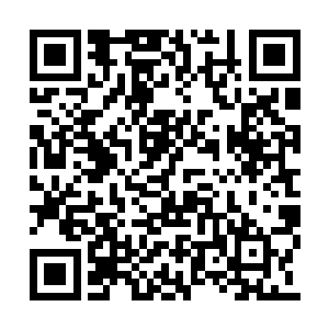 我希望每次我这样道歉都能得到你的宽宏和抚慰二维码生成