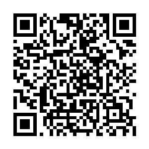 我希望贵国能够为我国的建设再次提供一笔借款二维码生成