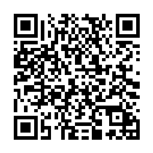 我带着白素仙那个婆娘在铁围山的外围转了一个遍二维码生成