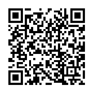 我建议马上核对全市各警局的档案记录和工作日志二维码生成