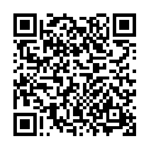 我开始还怕这一顿饭都要我切好了给你放在盘子里二维码生成