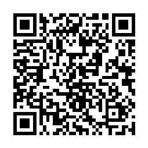 我张真再也不是从前那个又胖又不努力上进的差生了二维码生成