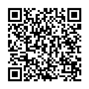 我得好好消化我已经突然晋升为过亿资产财务执行官的现实二维码生成