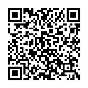 我必会让方炎为他的所作所为付出最惨重的代价二维码生成