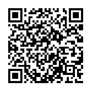 我必须要和你们的首领直接对话才行――很重要二维码生成