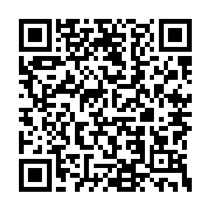 我怎么感觉这个开心网老总好像要掉进坑里了呢二维码生成