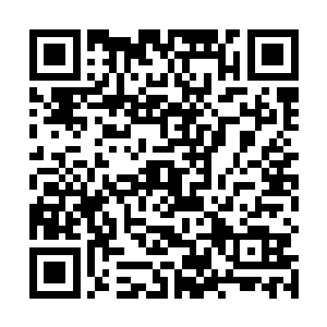 我怎么看着大人对殊大人有一种发自内心的敬仰和膜拜二维码生成