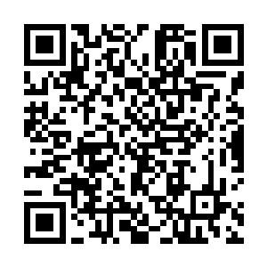 我怎么觉得哥哥这个告示看着比石碑天罡地煞顺眼多了二维码生成