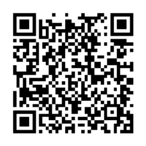 我怕你们把我抓去关一辈子或者用劳动力赚钱还债二维码生成