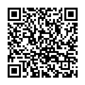 我想不通为什么这石蛋会有那么多……还大小差不多二维码生成