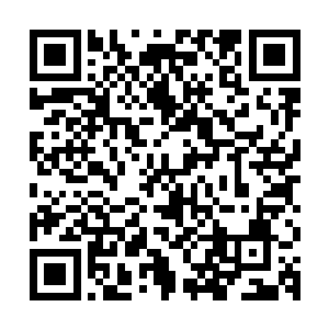 我想为民县长还是很愿意为丰富活跃我们地区丈化生活做贡献的二维码生成