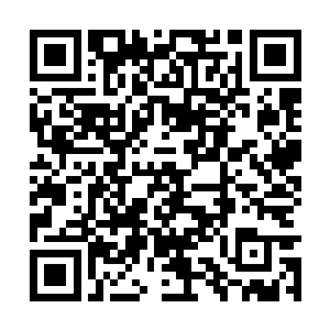我想今晚整个石翼市所有人都知道你邬院长的风流二维码生成