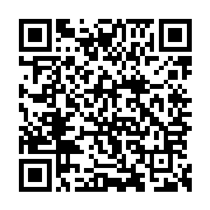 我想他们现在这个时候更多的应该是懊恼和悔恨二维码生成