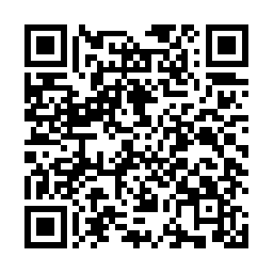 我想你大概也知道布拉德利和哈特曼先生之间的关系吧二维码生成