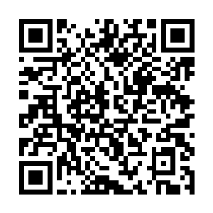 我想写一个沉香细韵像兰花一样纤弱却坚韧的女主角二维码生成