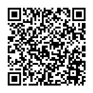 我想利用你们手中的牌子去取那些城主和城中大户的财物就轻松多了二维码生成