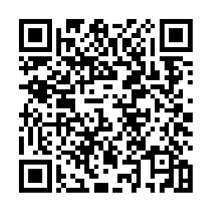 我想去继承你的衣钵――虽然我的愿望一样都没有实现二维码生成