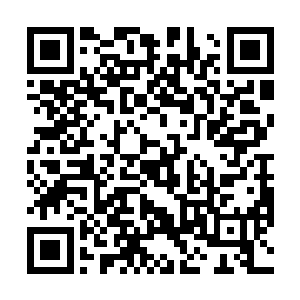 我想只要有三个圣级九层后期巅峰就可以将许紫烟围杀二维码生成