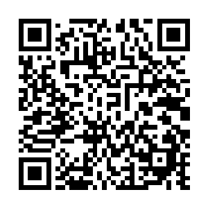 我想小师妹这是为了她的家族修士飞升上来之后做准备吧二维码生成