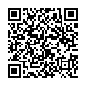 我想就算他们真被秦芳洗脑了也该知道善恶是非二维码生成