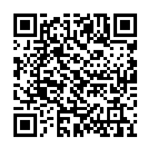 我想我今天也许就看不到小姑笑容满面的样子了二维码生成