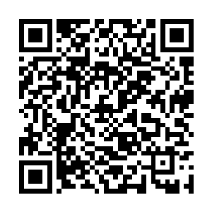 我想我们修罗道殿又要出一个木桑师兄那样的天才二维码生成