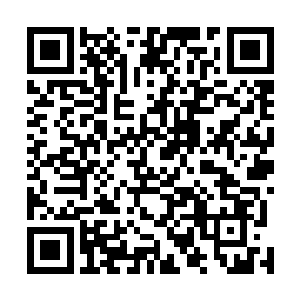 我想我们这些人的相遇可能在出生的时候就有人安排好了二维码生成