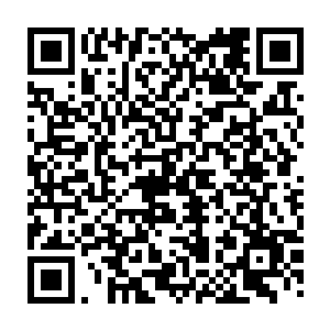 我想玛丽也不知道――我们只是无法理解你为什么忽然间改变了你的作风二维码生成