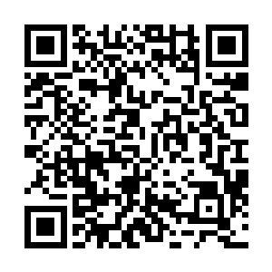 我想起来了……那一次……是那个赢了肖……老师的家伙二维码生成