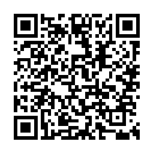 我想这个组织应该不是那种历史特别悠久的组织二维码生成