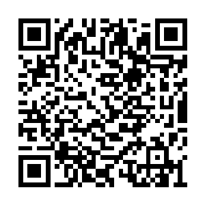 我想这件事情应该是铁马堂在背后指使你做的吧二维码生成