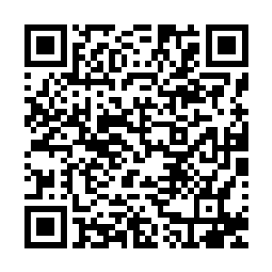 我想那边应该交代了你要把这两样东西托付给我寄身的龙焰池二维码生成