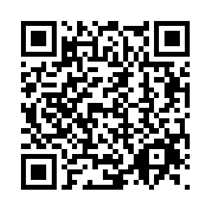 我想院长肯定已经将千年人面花取出来了二维码生成