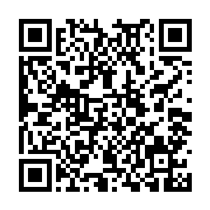 我感觉其实每次任务都在很努力的完成原主的心愿二维码生成
