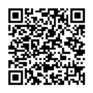 我感觉这洞穴里的不是把你抓伤的那一只白毛畜生二维码生成