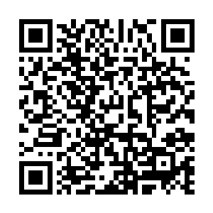 我愿意把我们奉诚集团进口煤化工产品百分之五十的份额二维码生成