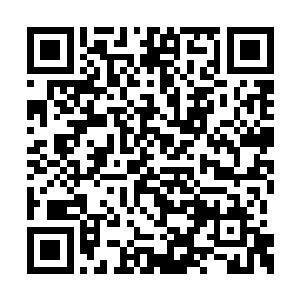 我我只是做了为了活下去而应该做的事情……你二维码生成