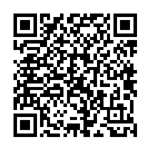 我所知可以治愈元神创伤的丹药以及天材地宝可是有不少二维码生成