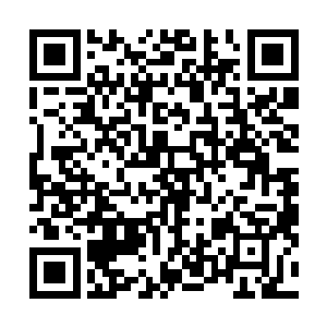 我手中的这样宝物乃是一支冒险团队深入山脉当中发现的二维码生成