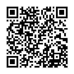 我把天书给你时就知道……就算你拿着这件至宝二维码生成